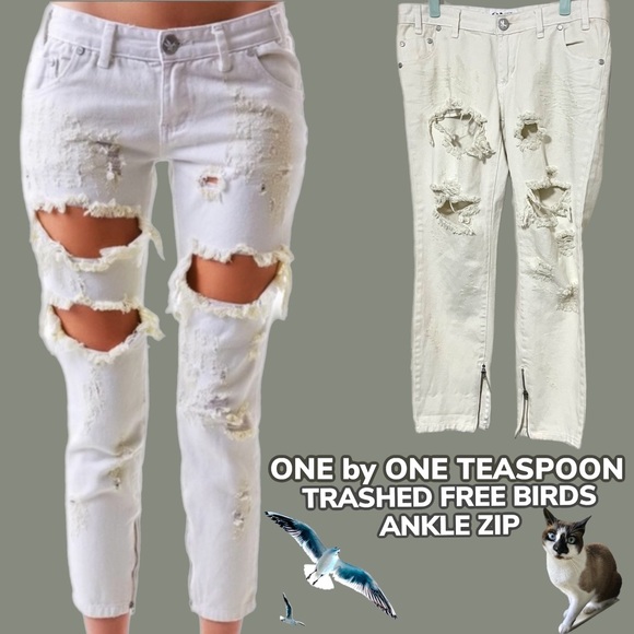 NWT $229 One x One TeaspoonPureTrashedFree Birds Low Rise Jeans